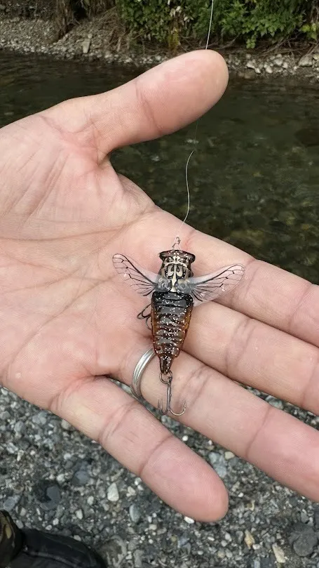 TSURI　HACK撮影の翌日は