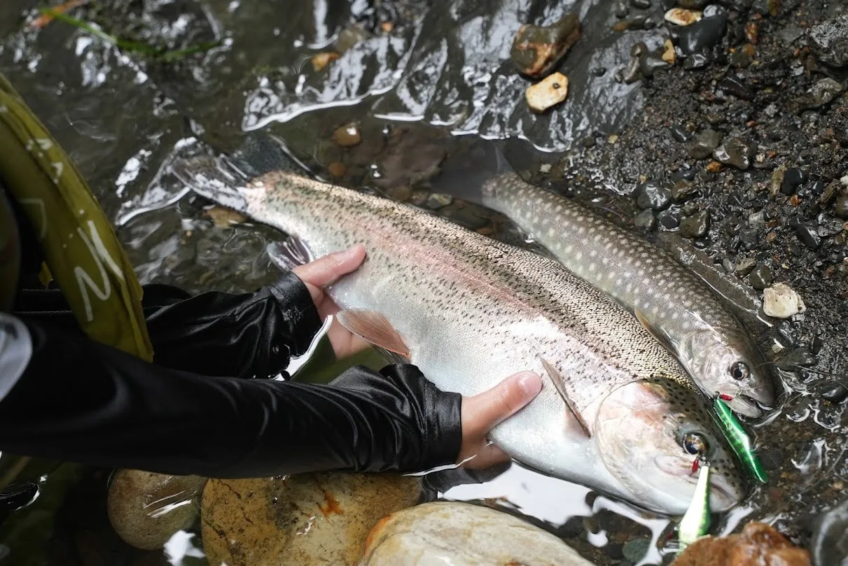 オホーツク海側のビッグレインボー