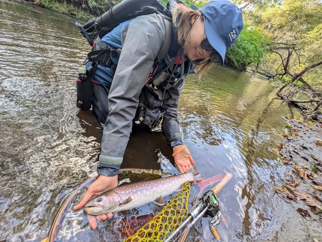 秋と言ったら湿原アメマス