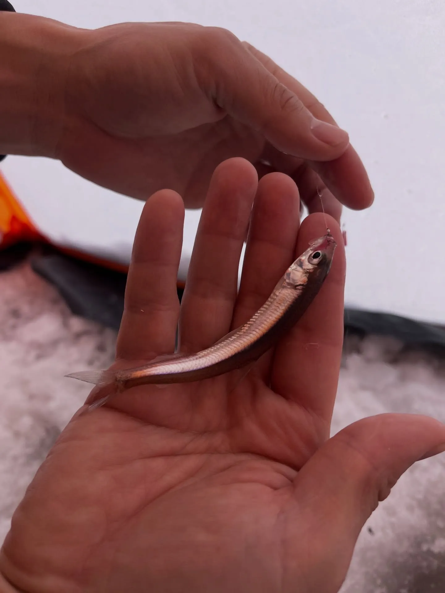 Hitotoki Baseで、家族のはじめての氷上体験。