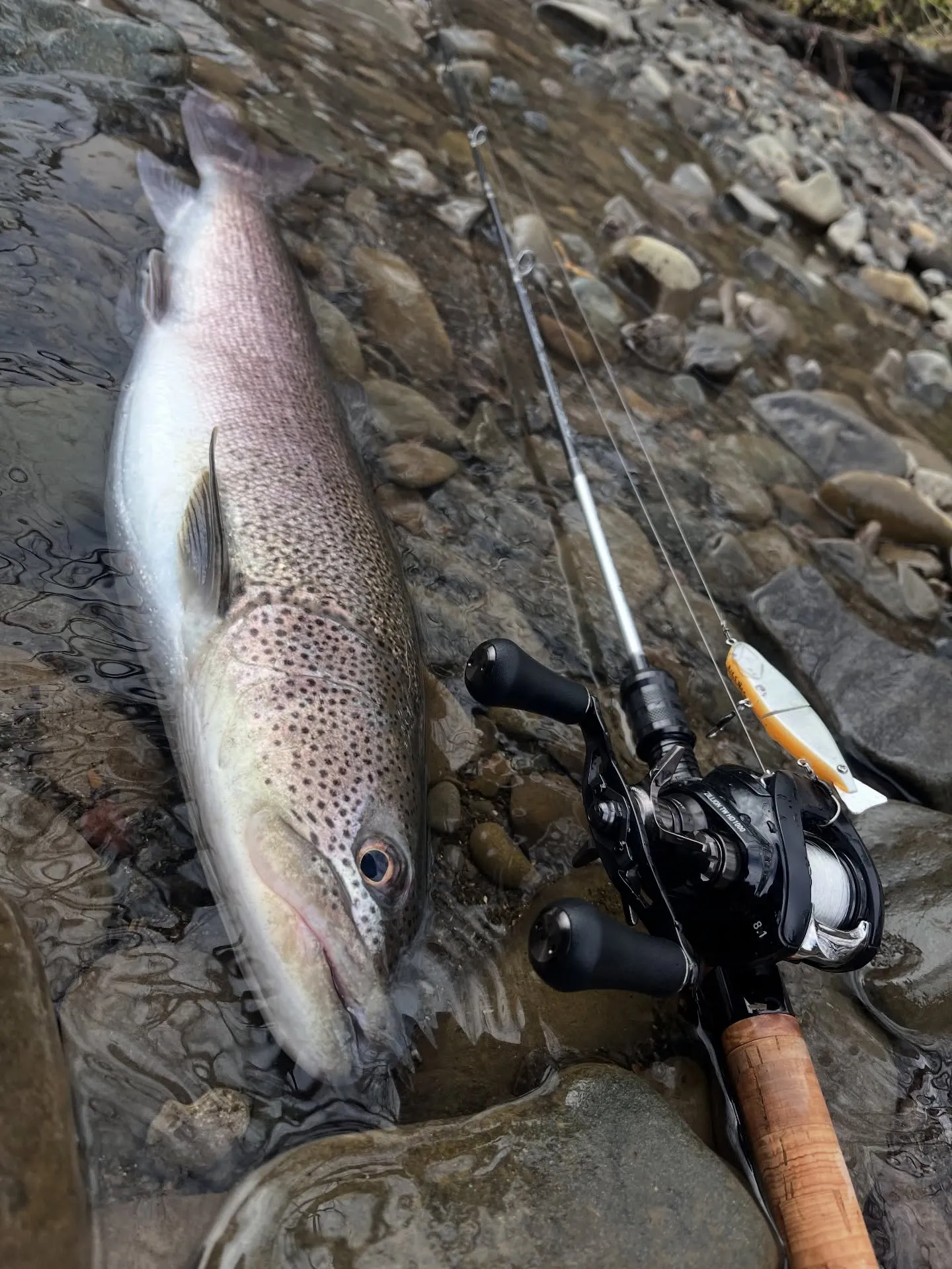 北海道の渓流釣りガイド予約受付中！！