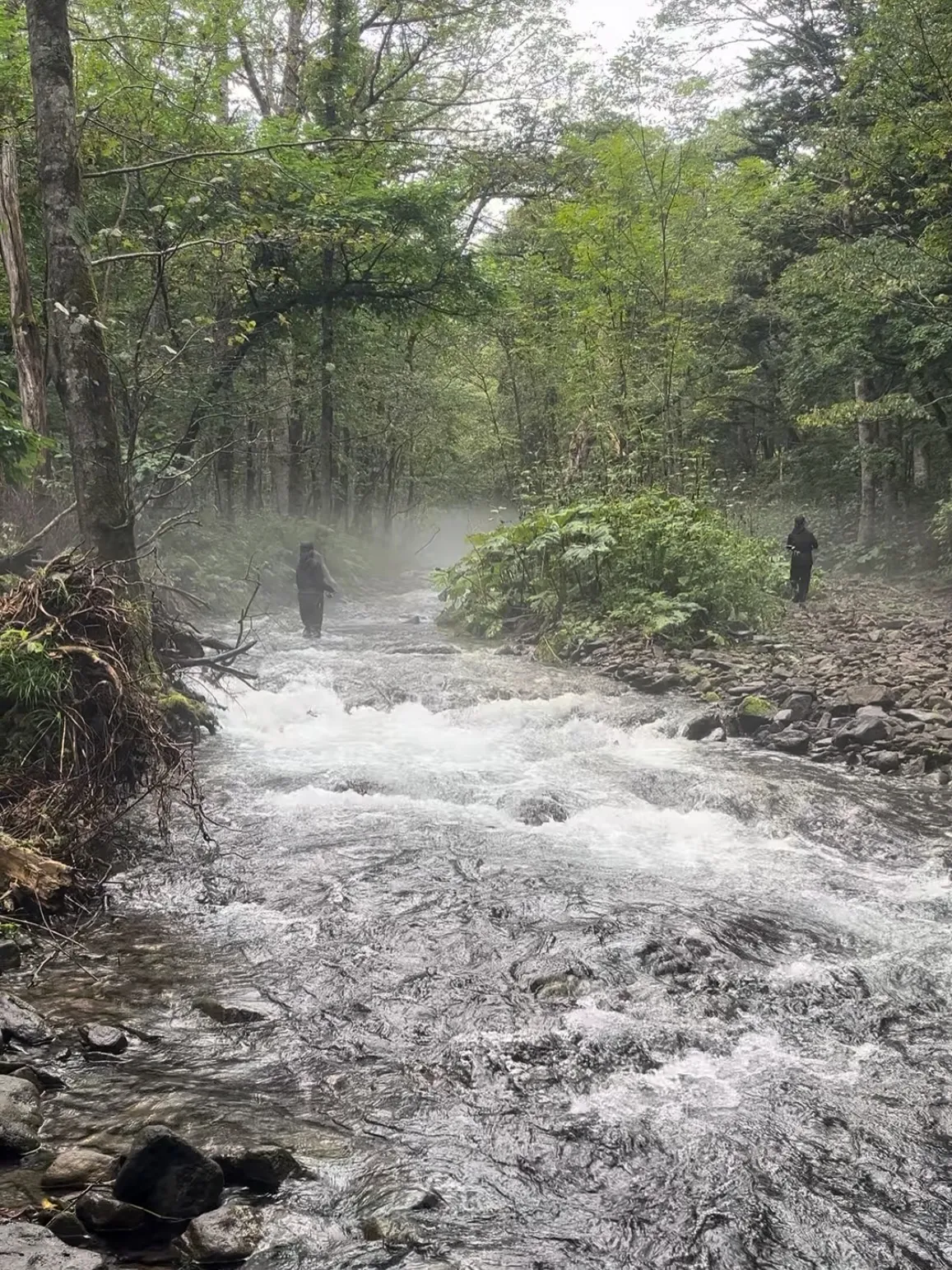 北海道の渓流釣りガイド予約受付中！！