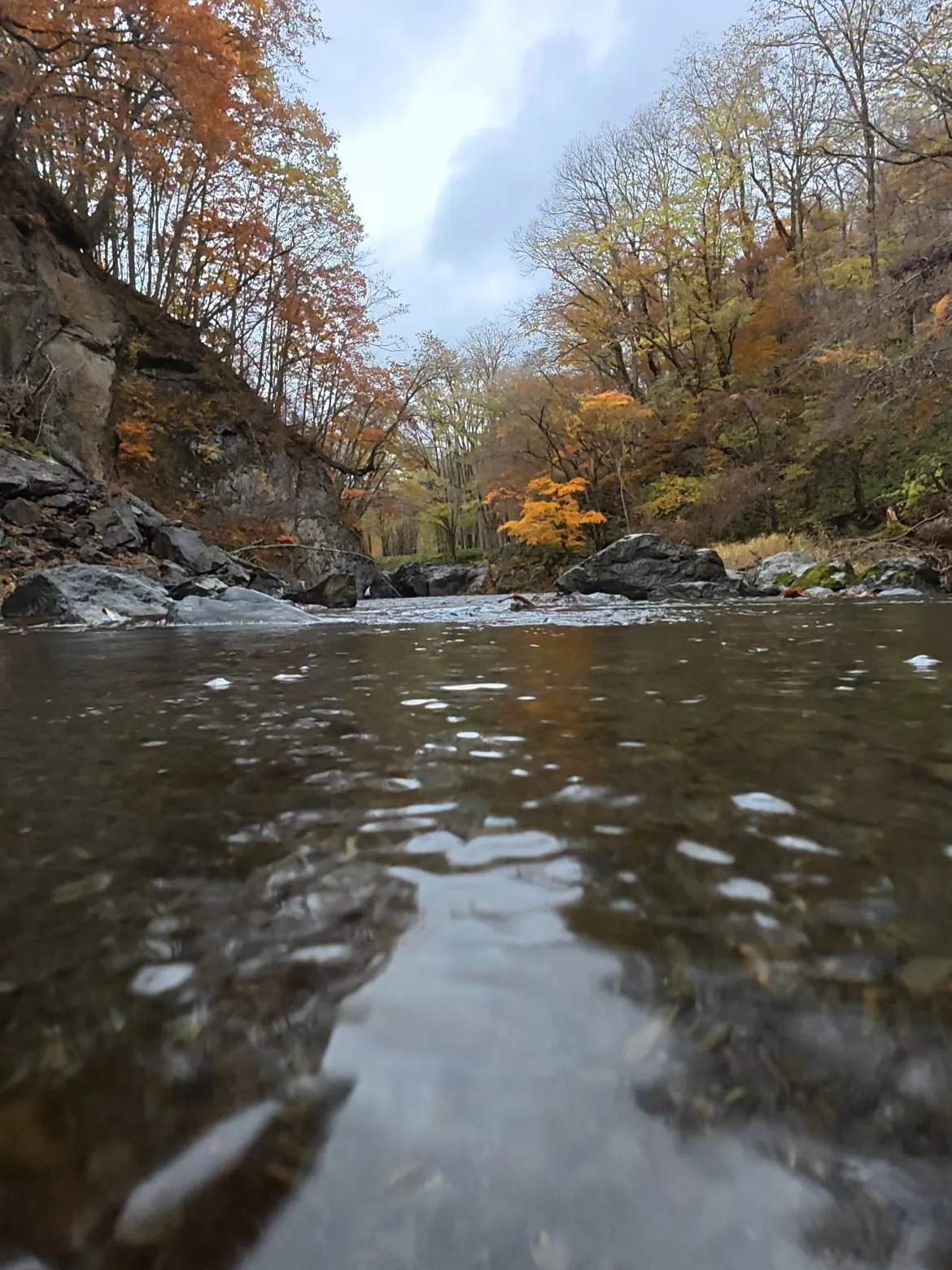 北海道の渓流釣りガイド予約受付中！！