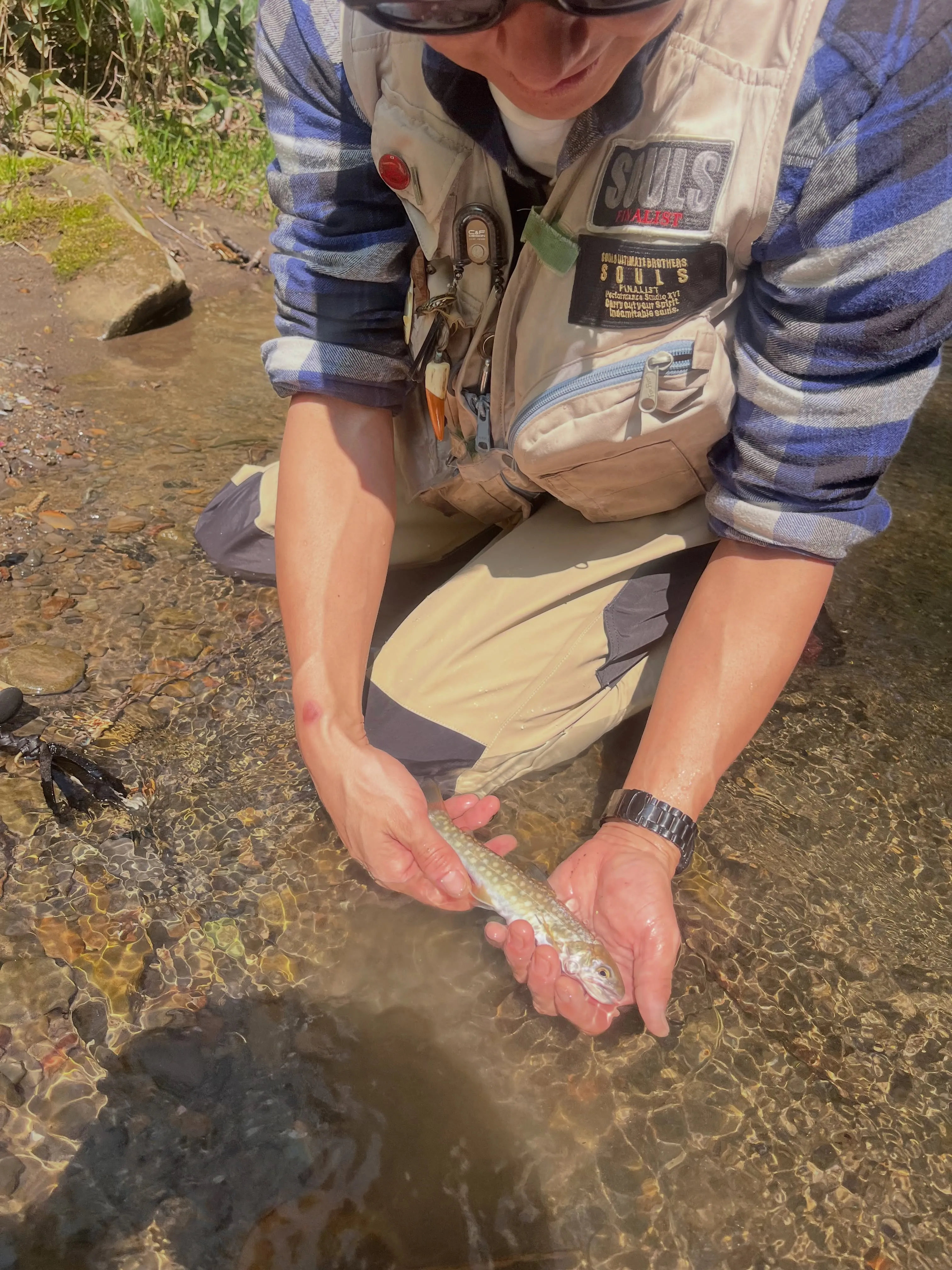 ネットの中で静かに呼吸する魚を、