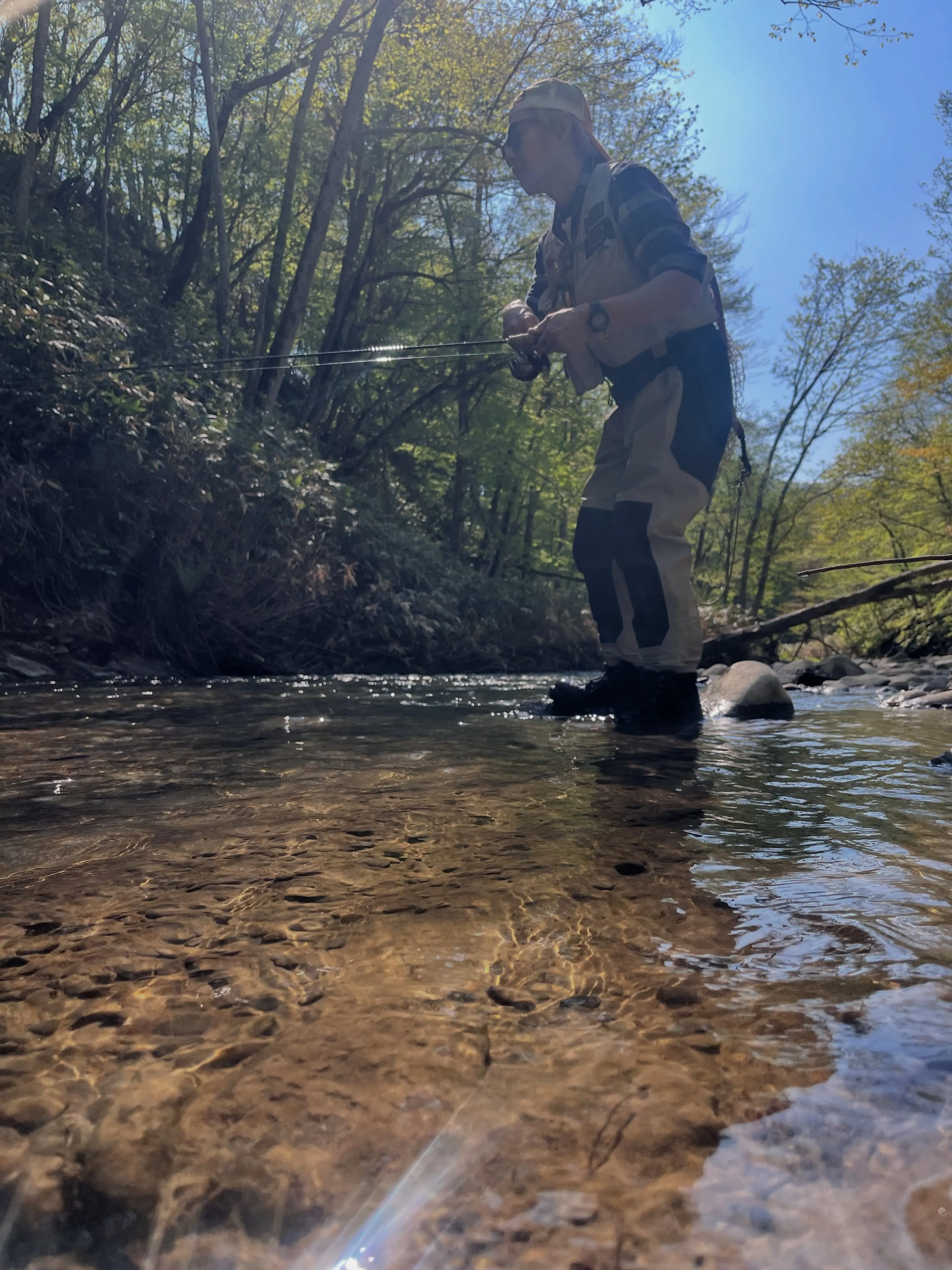 ネットの中で静かに呼吸する魚を、