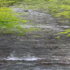 当運営の特徴