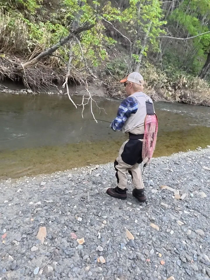 渓流ガイドのおすすめ活用法と釣れるルアーカラーや立ち回りの実践ポイント解説