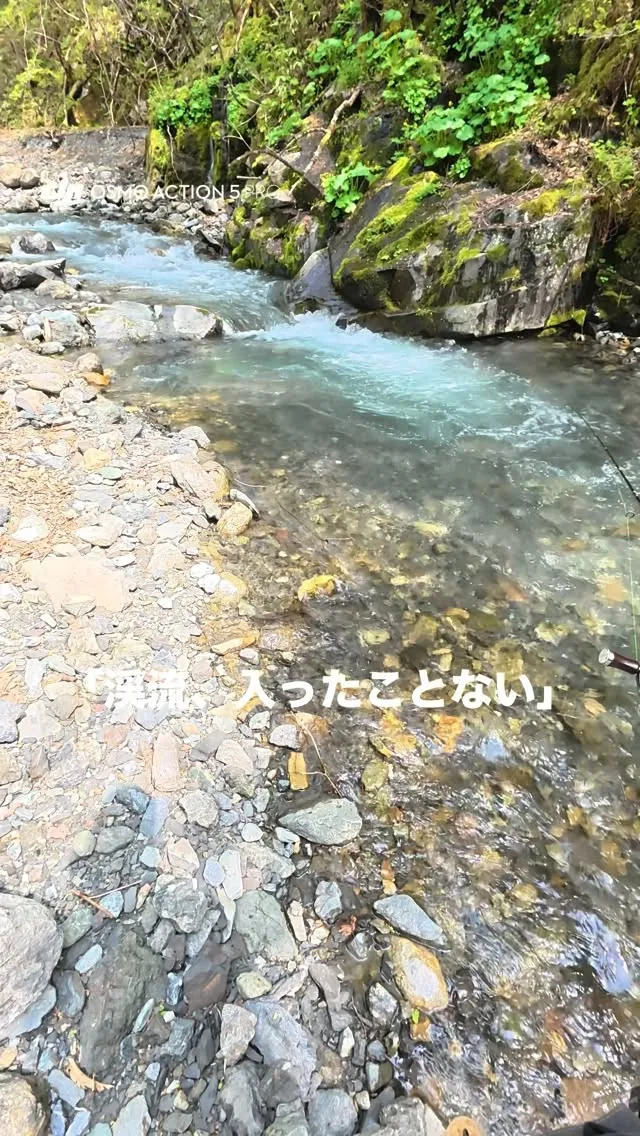 釣り竿、触ったことない。
