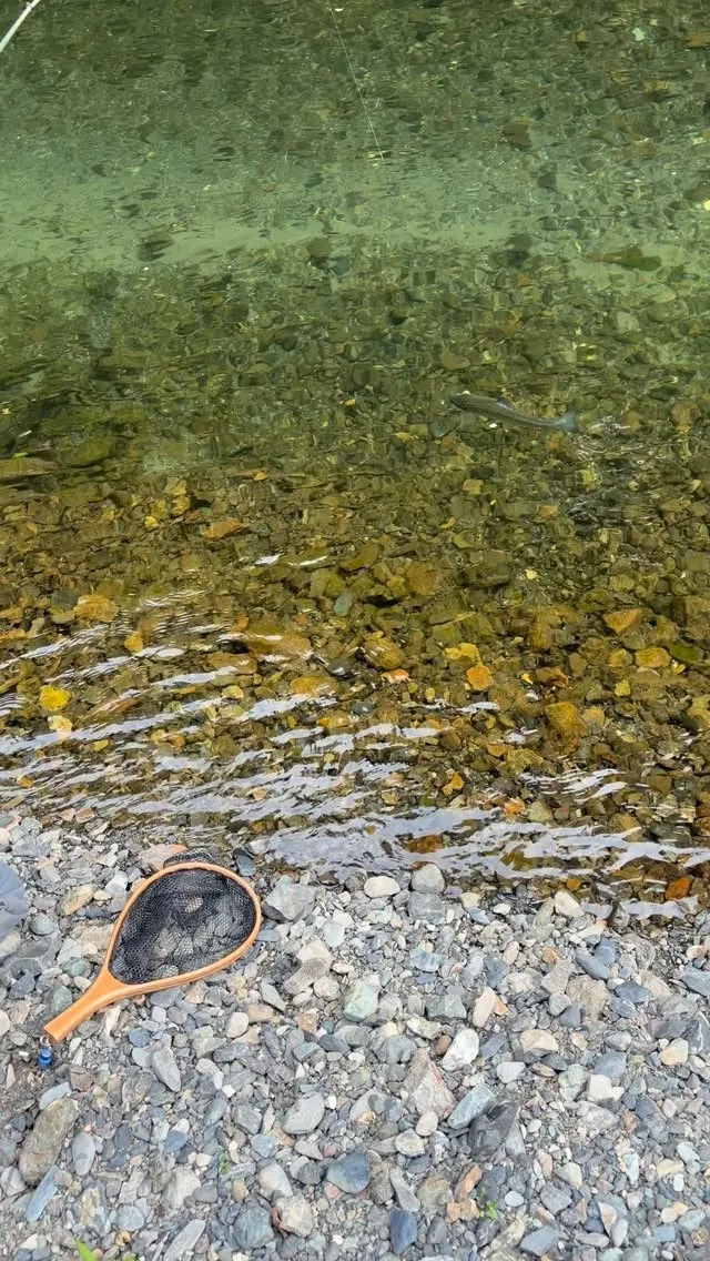 静岡から来てくれた、陽介の友人でもあるベテランアングラーのゲ...