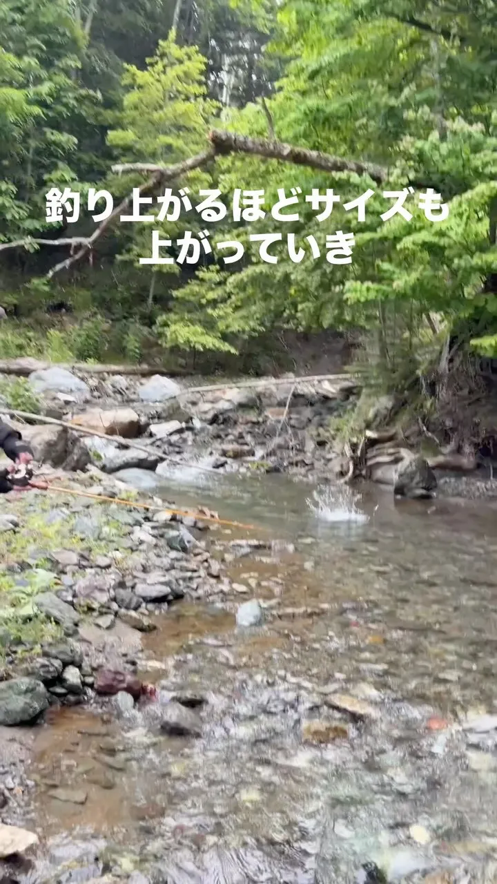 沢山の魚に出会いたいとご要望いただき