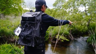 苫小牧エリアでの湿原ブラウン
