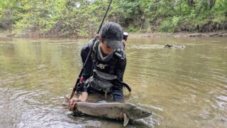 湿原のイトウ釣り