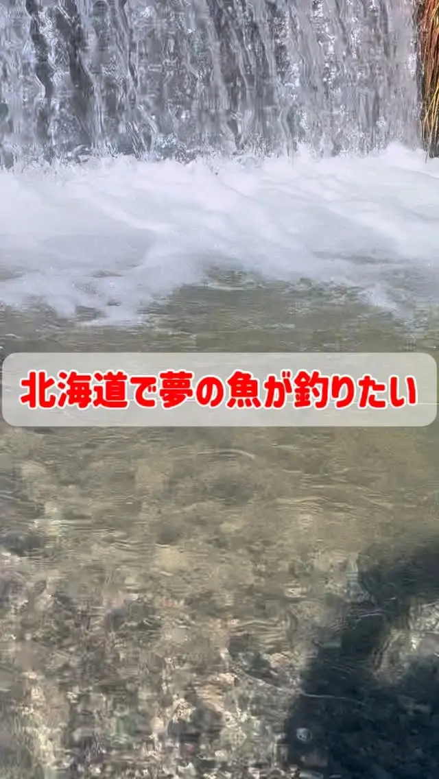 🎣🔥 北海道の渓流で、
最高の「一匹」に出会う旅、してみない？

📌 ガイド付きで安心
📌 レンタル装備あり・手ぶらOK
📌 少人数・完全予約制
📌 空港からの送迎（宿泊者限定）もあり✈️

北海道の自然の中で、自分の手で魚と出会う感動を✨
少人数制なので、ご予約はお早めに！

📩 予約・質問はDMからお気軽にどうぞ！

#北海道 #渓流釣り #HitotokiBase #釣り旅 #秘密基地感 #渓流釣り体験 #厚真町 #少人数制 #自然好きな人と繋がりたい #旅の思い出 #初心者歓迎 #渓流釣りガイド