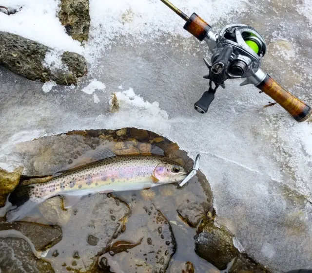 本流は人多すぎて早々に諦めて、念願のラーメン食べて雪の渓流行ってみました。

ただ、川が凍ってもう渓流は限界ですね！

長旅でしたが、会いたい方に会えたし、いい旅だったな。

オホーツク方面は、仲間達のお陰でだいぶポイントが理解出来てきましたが、まだまだ楽しい場所があるみたいなので、定期的に通います！

#北海道 #渓流釣り #トラウトフィッシング #川釣り #釣りガイド